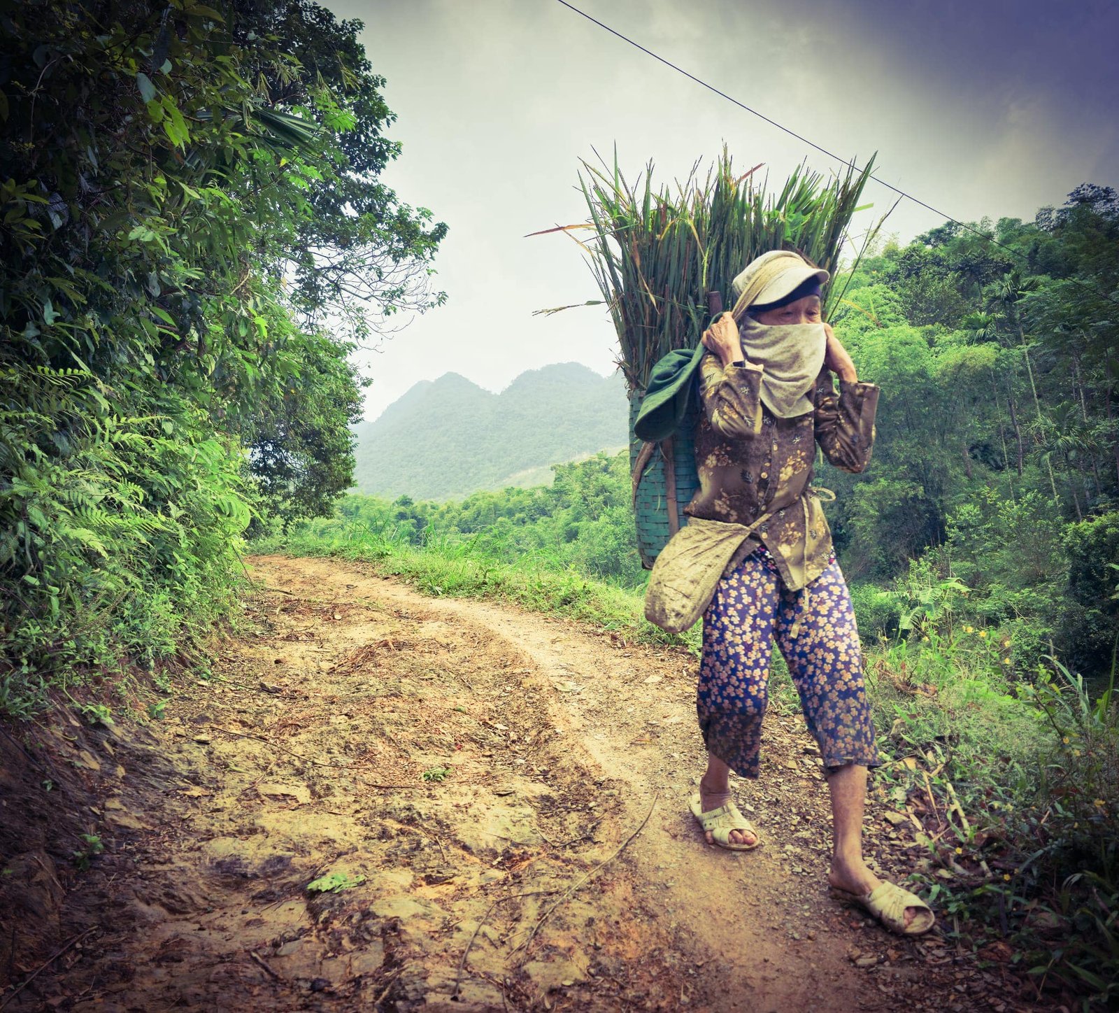 Trekking Tour in Mai Chau Pu Luong Nature Reserve 12 Days